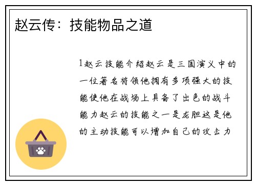 赵云传：技能物品之道